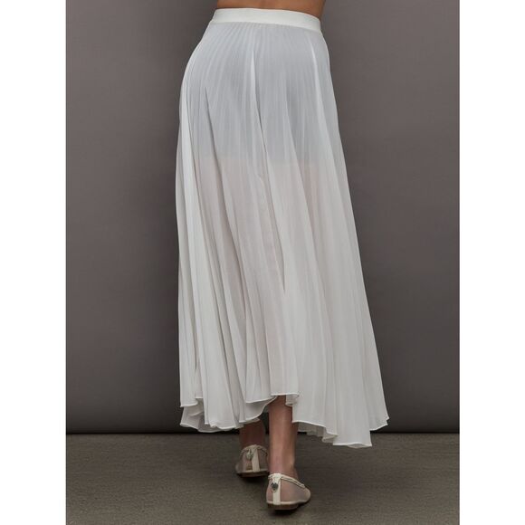 NWT Carbon38 Ivory Mesh Pleated Skirt - Picture 3 of 9